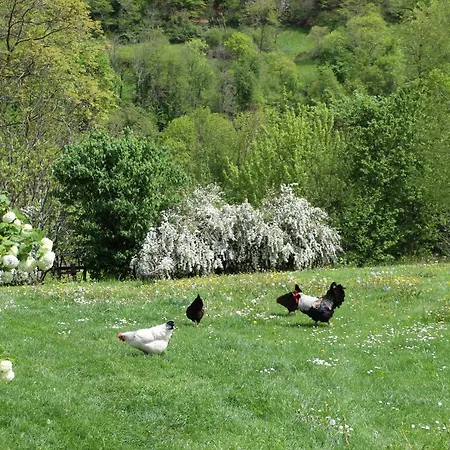 La Grande Ourse Campan