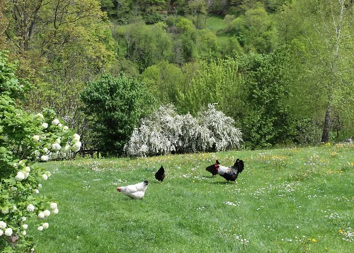 La Grande Ourse Campan